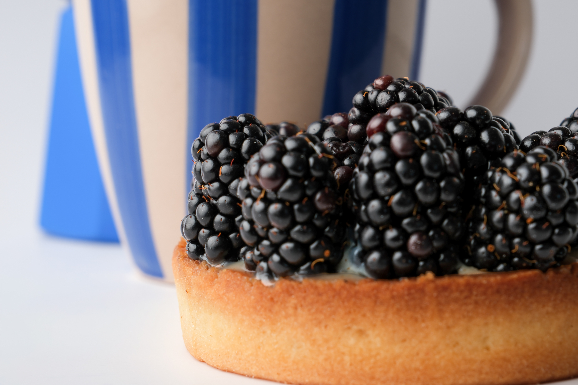 Tartelette aux mûres